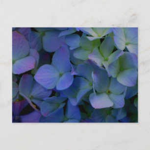 Cartão Postal Elegante floral azul-acinzentado roxo