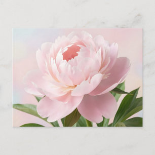 Cartão Postal Elegante Peônia Rosa Bege Realista Floral