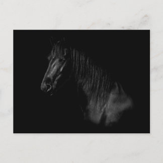 Cartão Postal Elegante retrato de um cavalo frísio preto