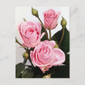 Cartão Postal Elegante Rosa 2