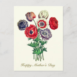 Cartão Postal Elegante Vintage Anêmona Botânica