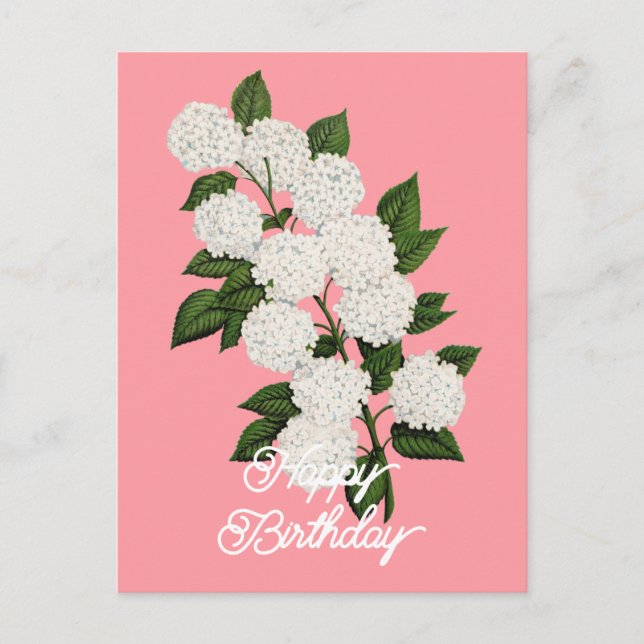 Cartão Postal Elegante Vintage Japonês Snowball Feliz Aniversári (Frente)