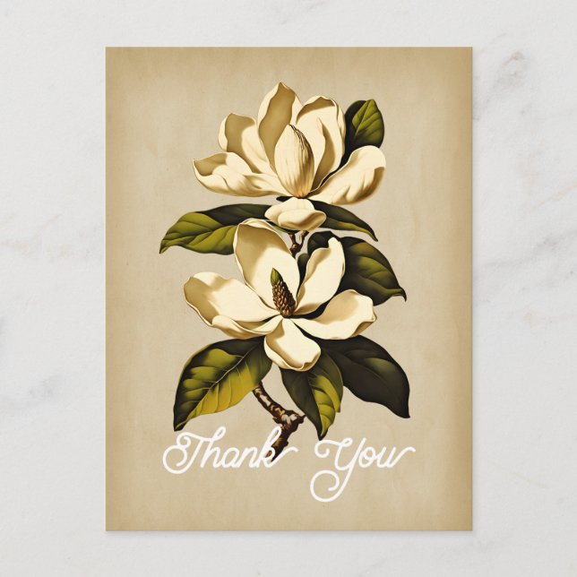 Cartão Postal Elegante Vintage Magnolia Flor Obrigado (Frente)