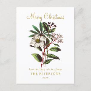Cartão Postal Elegante Vintage Rosa de Natal Botânico
