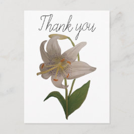 Cartão Postal Elegante Vintage White Lily Flower Obrigado