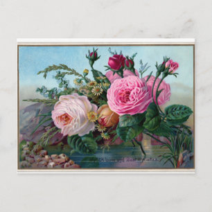 Cartão Postal Elegantes Rosas Rosa Vintage