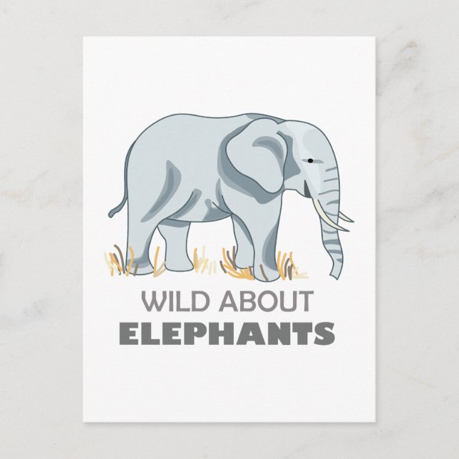 CARTÃO POSTAL ELEPHANT (Frente)