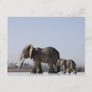 Cartão Postal Elephant Family background blue sky