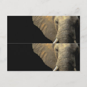 Cartão Postal Elephant Portrait book Marcador
