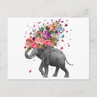 Cartão Postal Elephant Splash