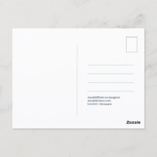 Cartão Postal Elephant Tree Postcard