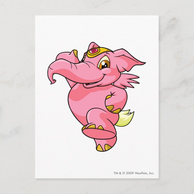 Cartão Postal Elephante Pink (Frente)