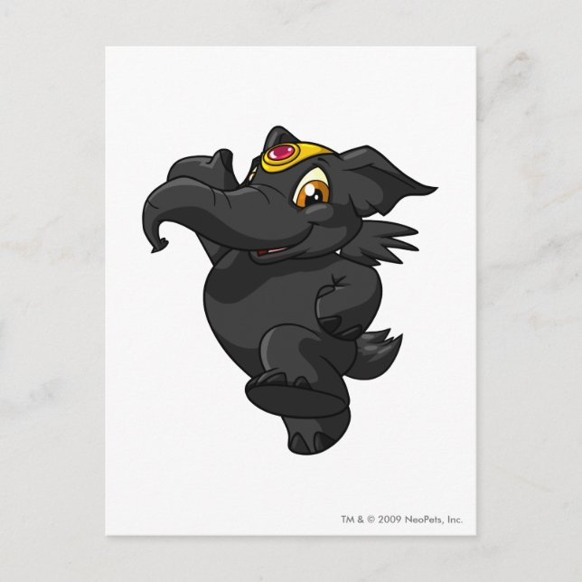 Cartão Postal Elephante Shadow (Frente)