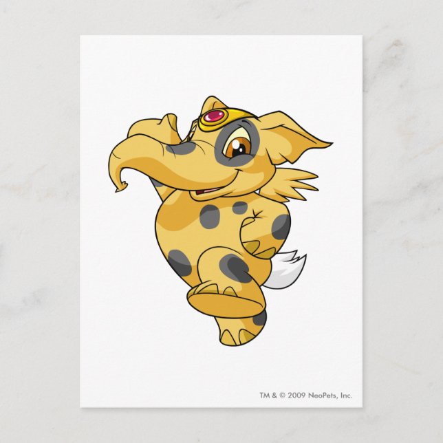 Cartão Postal Elephante Spotted (Frente)