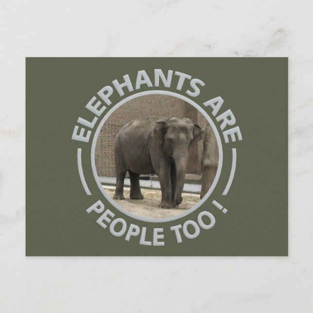 Cartão postal ELEPHANTS (Frente)