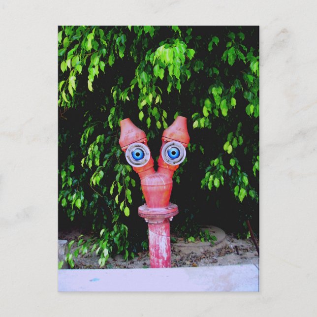 Cartão Postal Eles estão aqui (Frente)