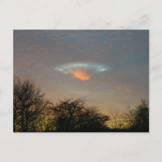 Cartão Postal . . Eles estão aqui!