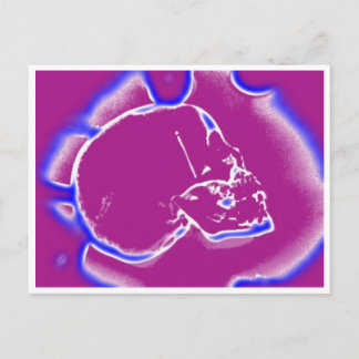 Cartão Postal eletricildskull