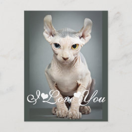 Cartão Postal Elf Sphinx Cat Photo I Love You