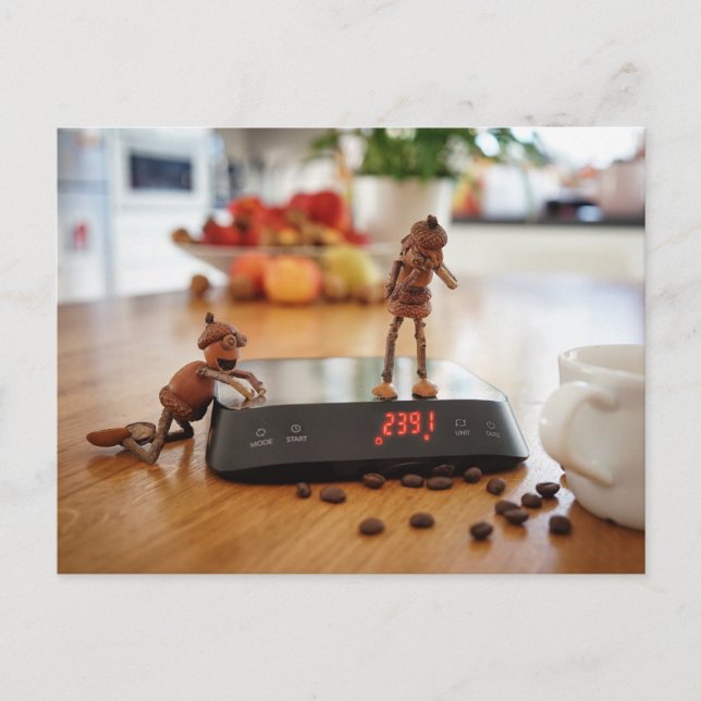 Cartão Postal Elfo do carvalho provocando sua garota com o peso (Frente)