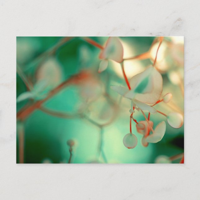 Cartão Postal Eliminar Delicado (Frente)