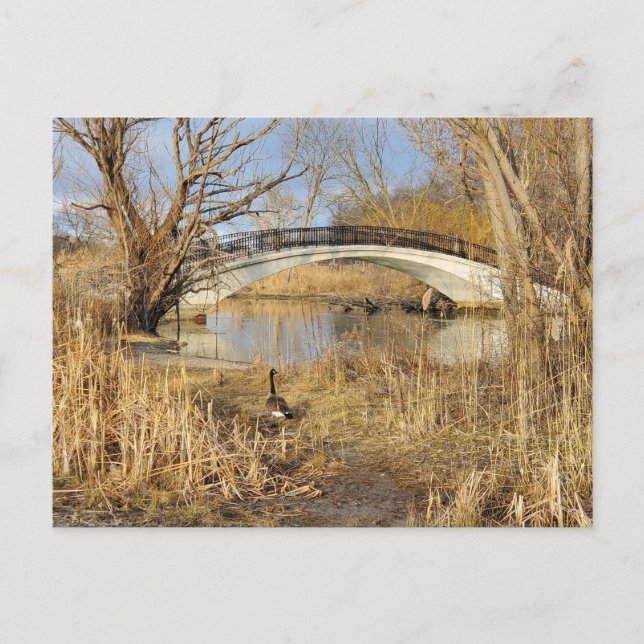 Cartão Postal Elizabeth Park, Trenton, Michigan (Frente)