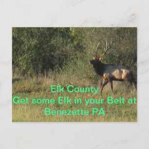 Cartão Postal Elk County Benezette PA