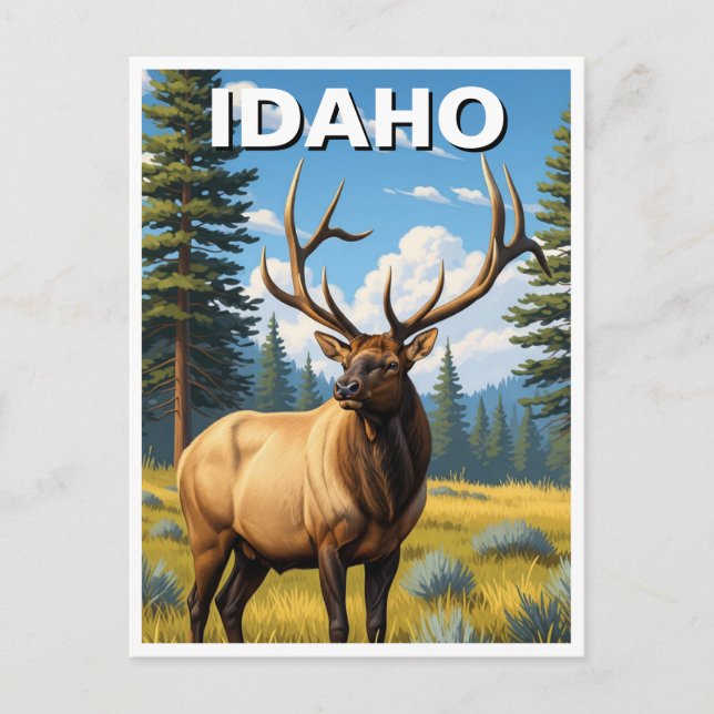 Cartão Postal Elk em Idaho (Frente)