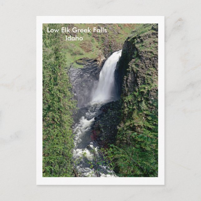 Cartão Postal Elk Grego Falls, Idaho (Frente)