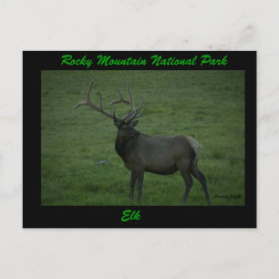 Cartão Postal Elk, Milner Pass