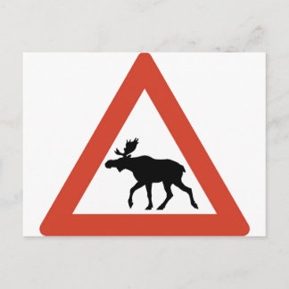 Cartão Postal Elk Norueguês