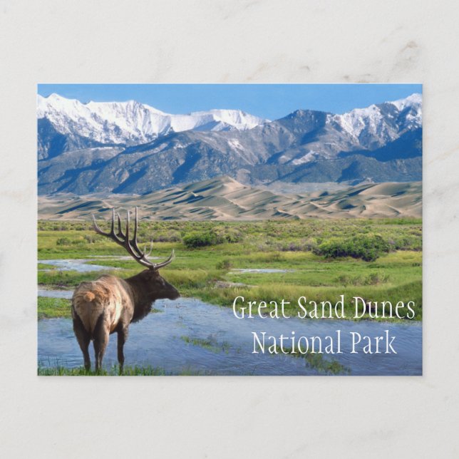 Cartão Postal Elk por Creek Excelente Sand Dunes NP (Frente)