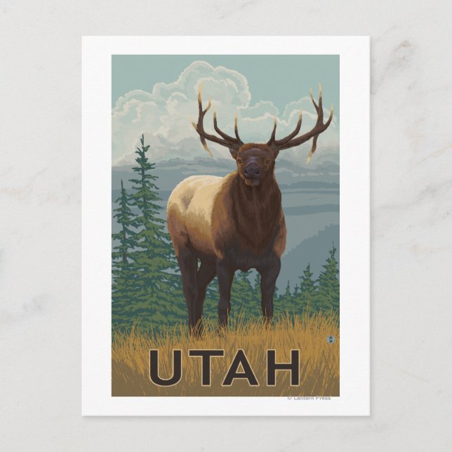 Cartão Postal Elk SceneUtah (Frente)