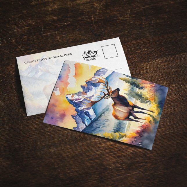 Cartão postal Elk Wyoming, Parque Nacional do Gran (Criador carregado)