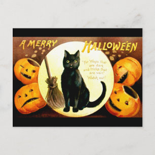 Cartão Postal Ellen H. Palheta: Halloween Cat