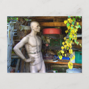 Cartão Postal Ellis Garden III