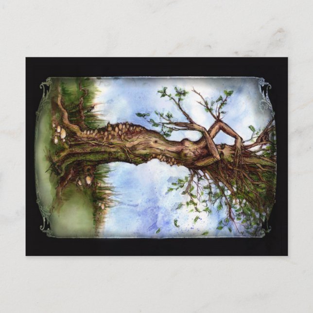 Cartão Postal Elm Maid (Frente)