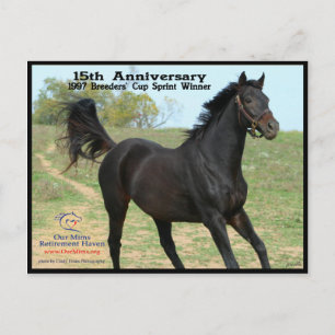 Cartão Postal Elmhurst - '97 Breeders' Cup Sprint Winner