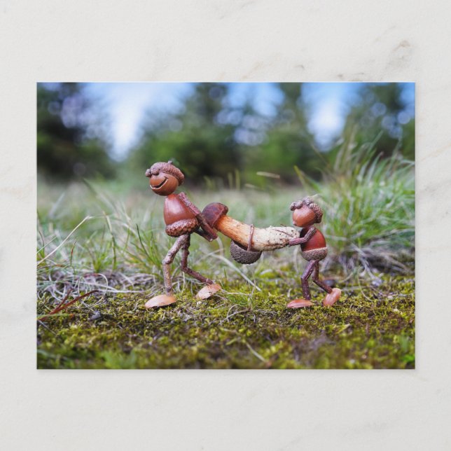 Cartão Postal Elves de bolota com cogumelo grande na cesta (Frente)