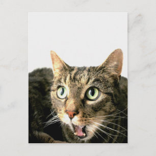 Cartão Postal Elvis