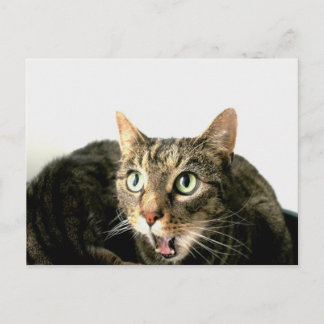 Cartão Postal Elvis