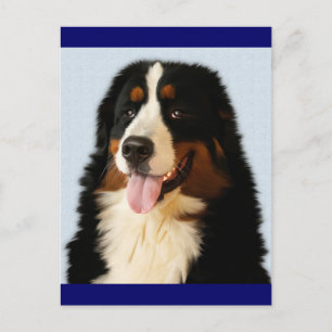 Cartão Postal em Branco de Cachorro Bernês de Mont