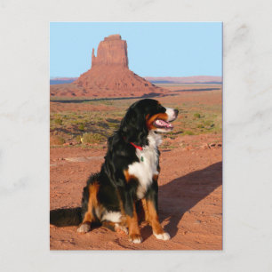 Cartão Postal em Branco de Cachorro Filhote de Mon