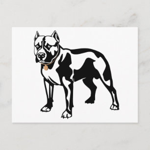 Cartão postal em branco de cachorro Pit Bull