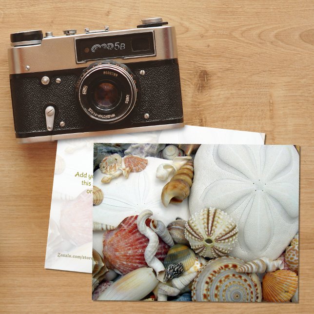 Cartão postal em branco de duas moedas de areia (Criador carregado)