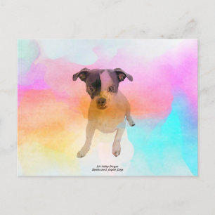 Cartão Postal em Branco Gracie Disco