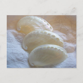 Cartão Postal Em cada espiral delicada