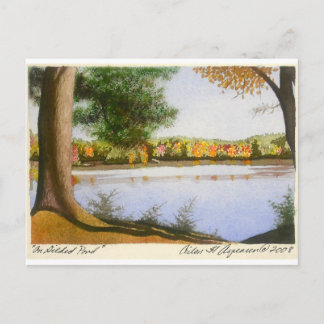 Cartão Postal Em Gilded Pond