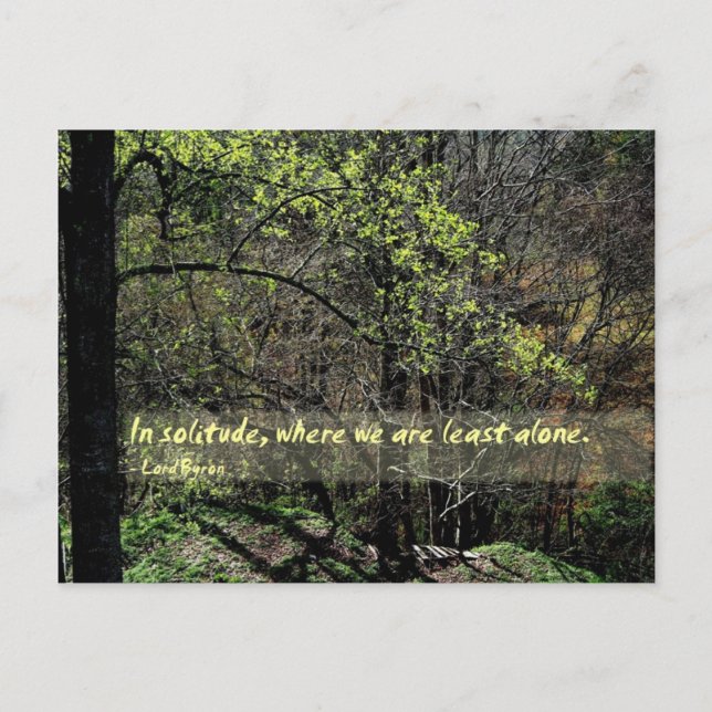 Cartão Postal Em solidão... (Frente)