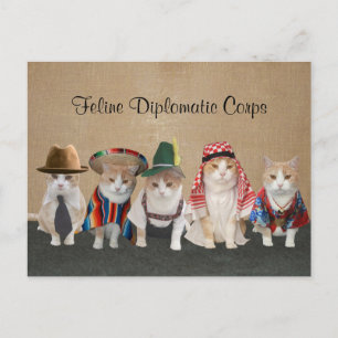 Cartão Postal Embaixadores gatinhos